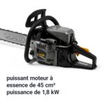 Tronçonneuse Élagueuse Alpina puissante