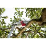 Tronçonneuse Télescopique Thermique arbre