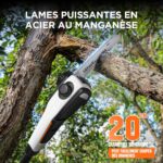 Petite-tronconneuse-avec-perche-acier.jpg