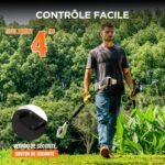 Petite-tronconneuse-avec-perche-controle-facile.jpg