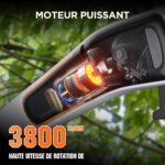 Petite-tronconneuse-avec-perche-moteur-puissant.jpg