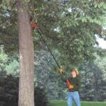Coupe Branche Télescopique Thermique arbres