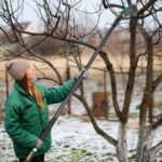 Perche Élagueuse À Batterie pour branches