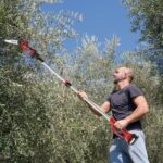 Perche Télescopique Taille Arbre Électrique pour Branches