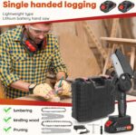 Petite Élagueuse Sans Fil avec accessoires