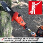Scie À Élagage telescopique
