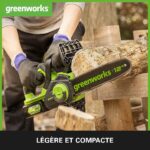 Tronconneuse Batterie 30 Cm legere