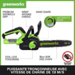 Tronconneuse Batterie 30 Cm premium