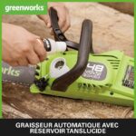 Tronconneuse Batterie 35 cm graisseur auto