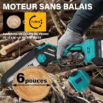 Tronçonneuse Branches Hautes Moteur Sans Balais