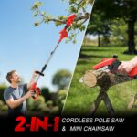 Tronçonneuse Perche 21V 2 en 1
