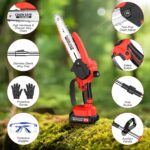 Tronçonneuse Perche 21V avec Outils