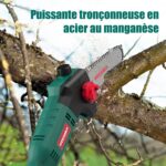 Tronçonneuse Sur Perche Télescopique acier