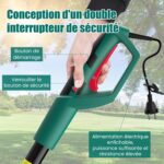 Tronçonneuse Sur Perche Télescopique securité