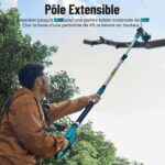 Tronçonneuse Télescopique Batterie Extensible