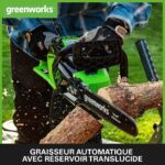 tronconneuse batterie 40v graisseur auto