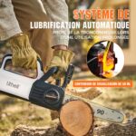 Tronçonneuse Double Batterie Lubrification Auto
