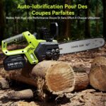 Tronçonneuse Graissage Automatique Lubrification Auto