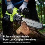 Tronçonneuse Graissage Automatique Puissante