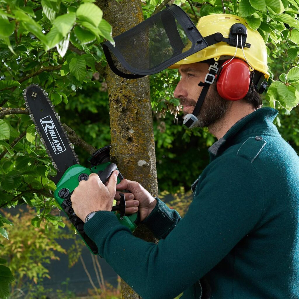 Tronçonneuse Thermique Verte Maniable