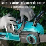 Tronçonneuse avec 2 Batteries Puissante