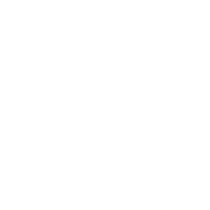 Boutique Tronconneuse Téléphone Icon